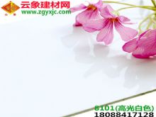 高光白色铝塑板(8101)|专业生产批发上海吉祥3mm15丝高光白色内墙外墙工程装修专用铝塑板